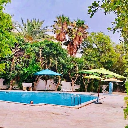 Appartement Rayhan Yasmine ハンマメット エクステリア 写真