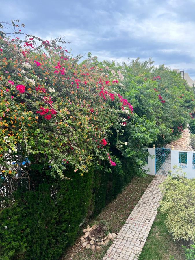 Appartement Rayhan Yasmine ハンマメット エクステリア 写真